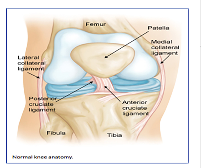 sports injuries knee