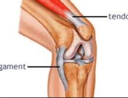 ligament injuries