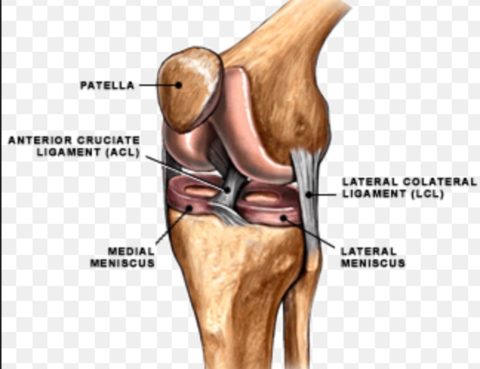 ligament injuries